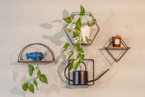 Photo 12- click for photo gallery